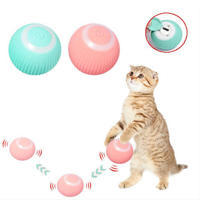 Bola Inteligente Elétrica para Pets
